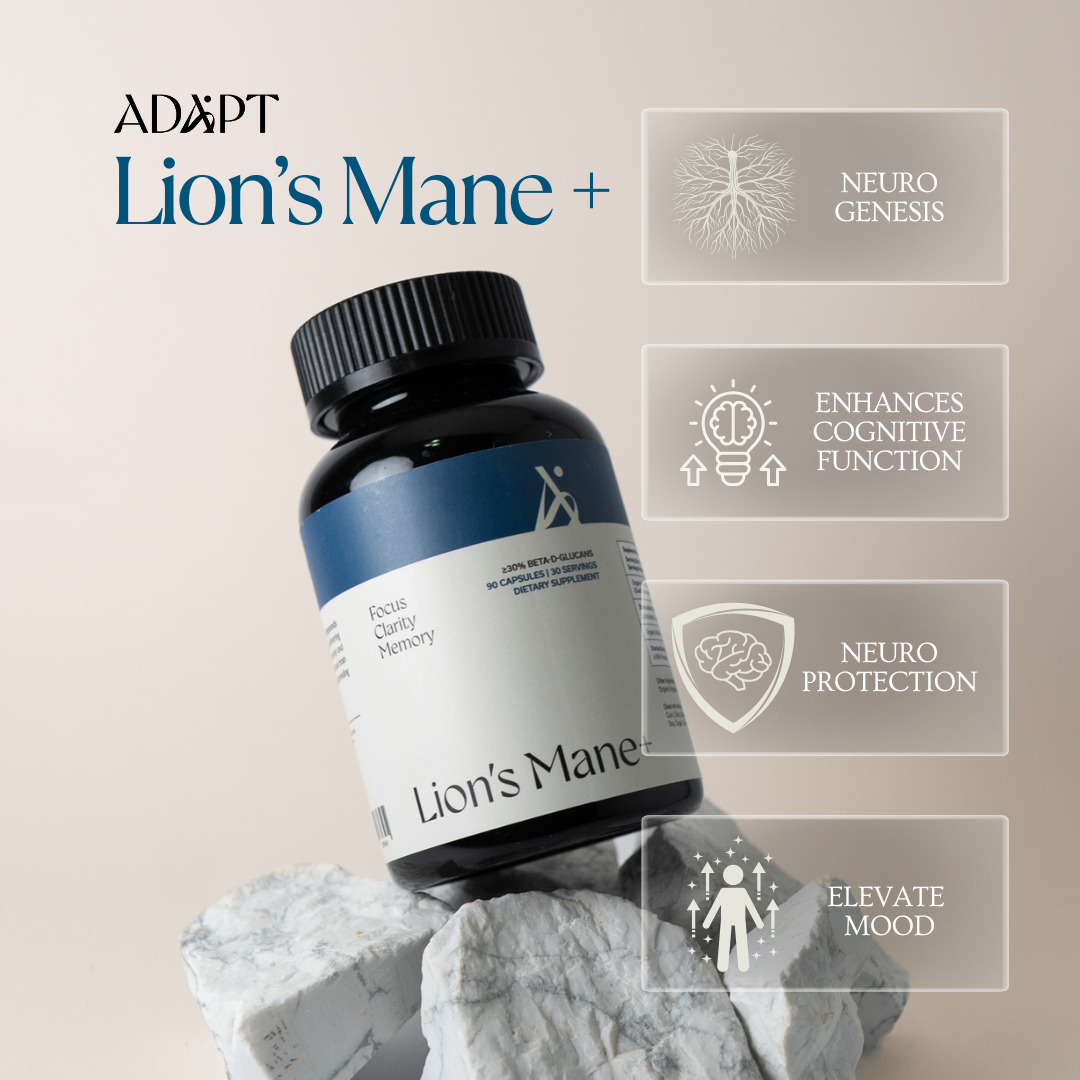 Lion's Mane+