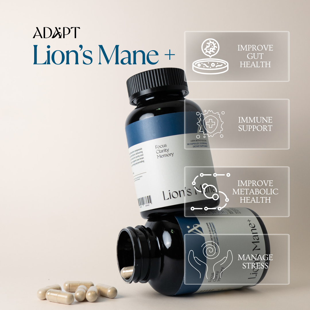 Lion's Mane+