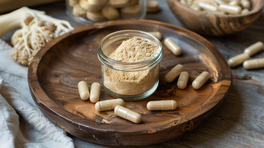 Why Adaptogens Are Essential for Our Well-Being Today?
