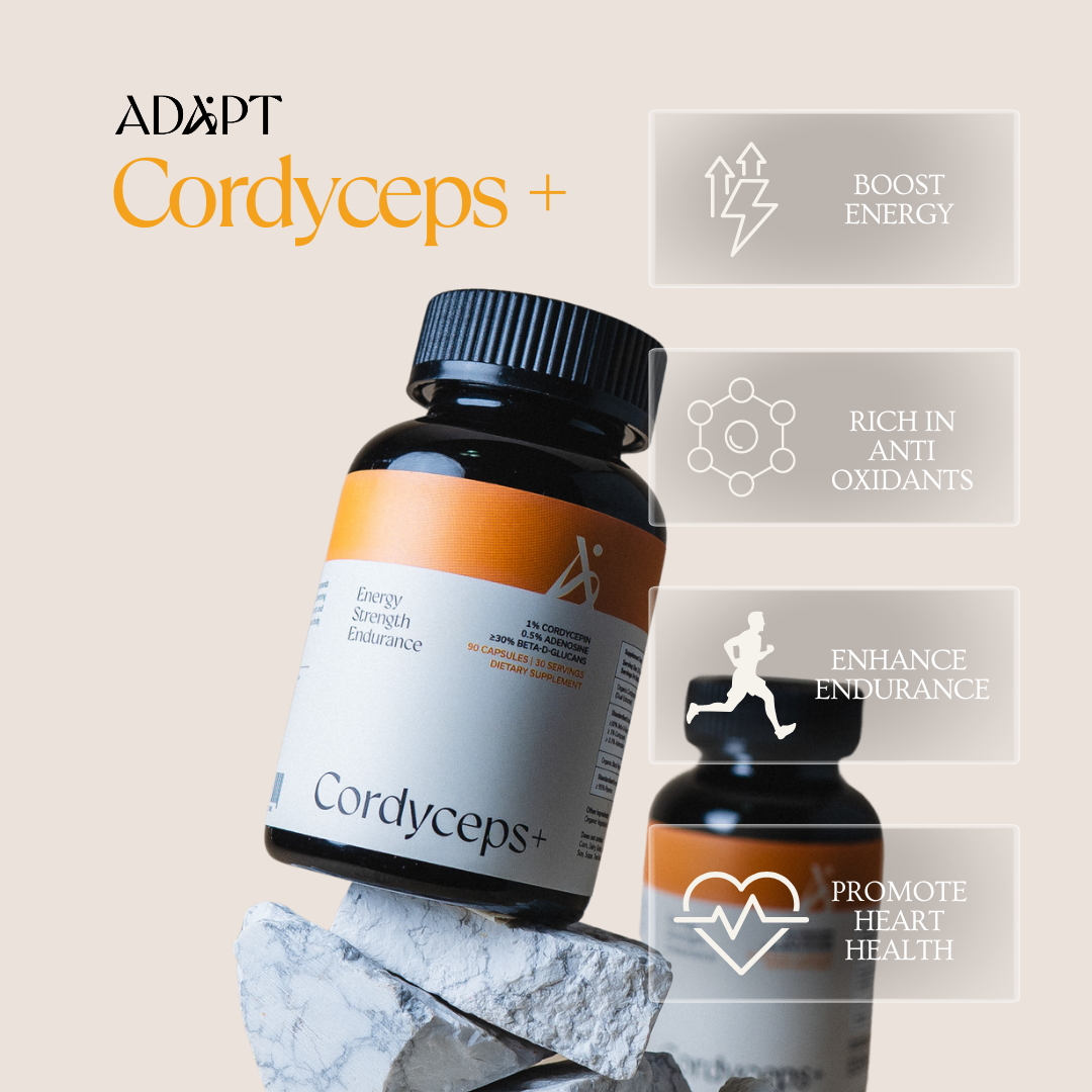 Cordyceps+