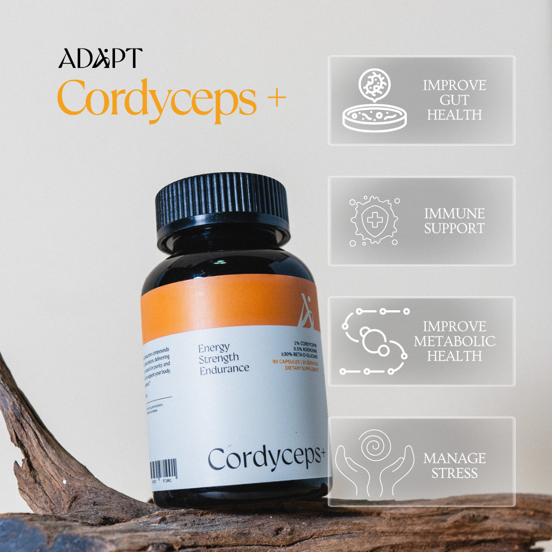 Cordyceps+