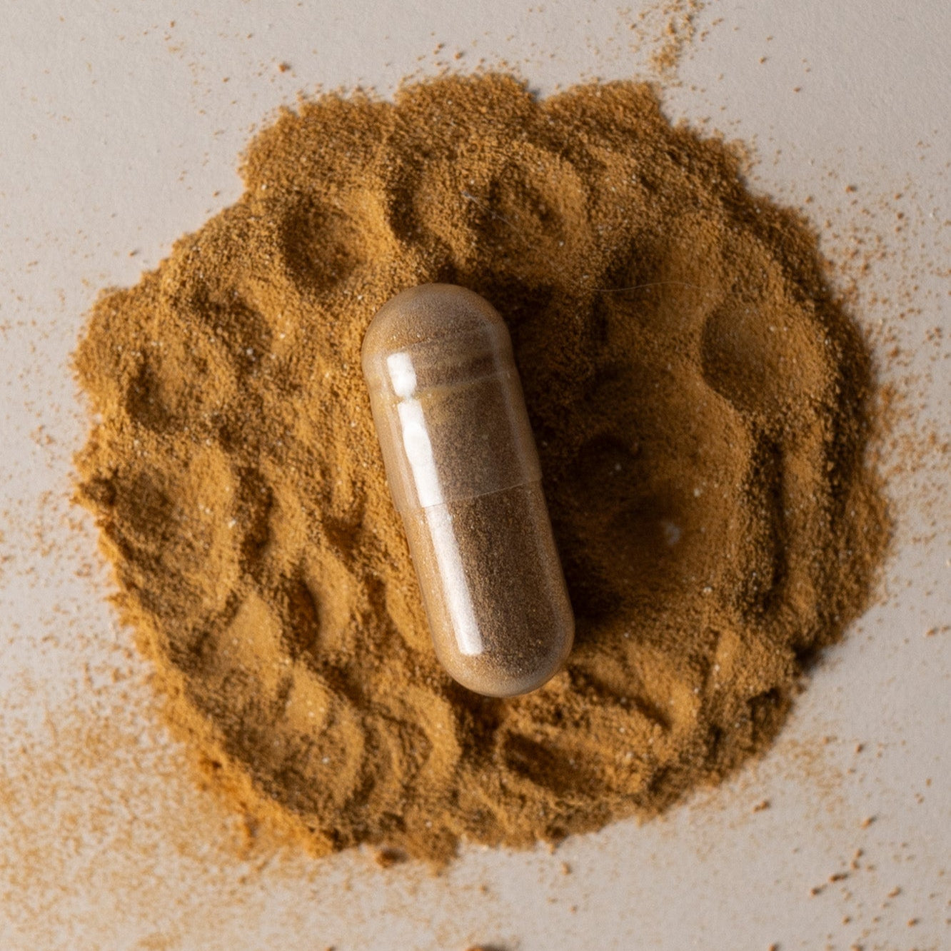 Cordyceps+
