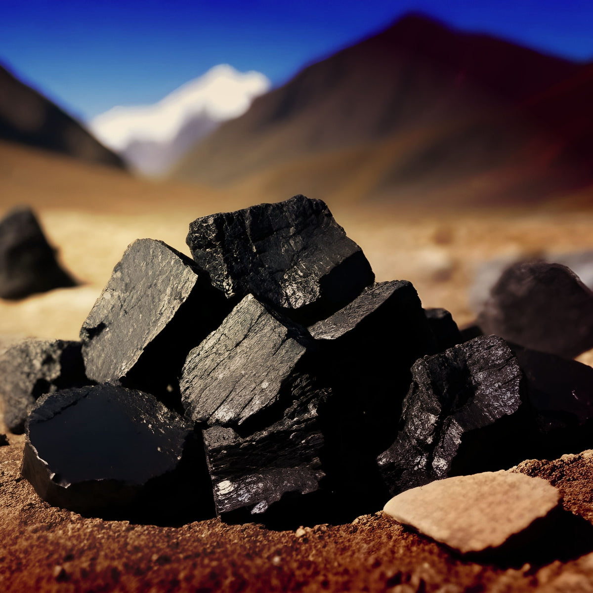 Pure Himalayan Shilajit Resin (Gold Grade) – Adapt Herb